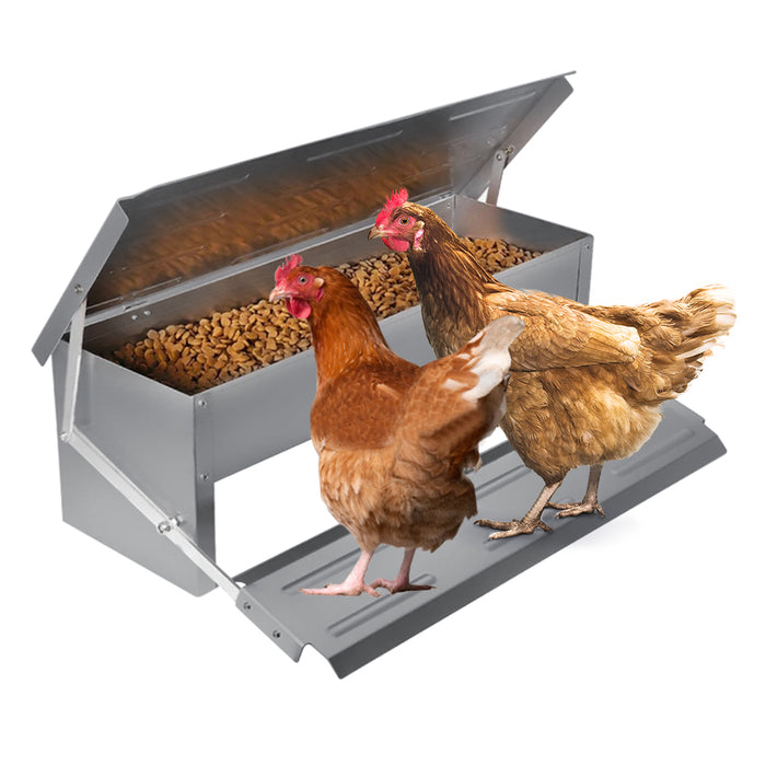 Automatic Chicken Feeder