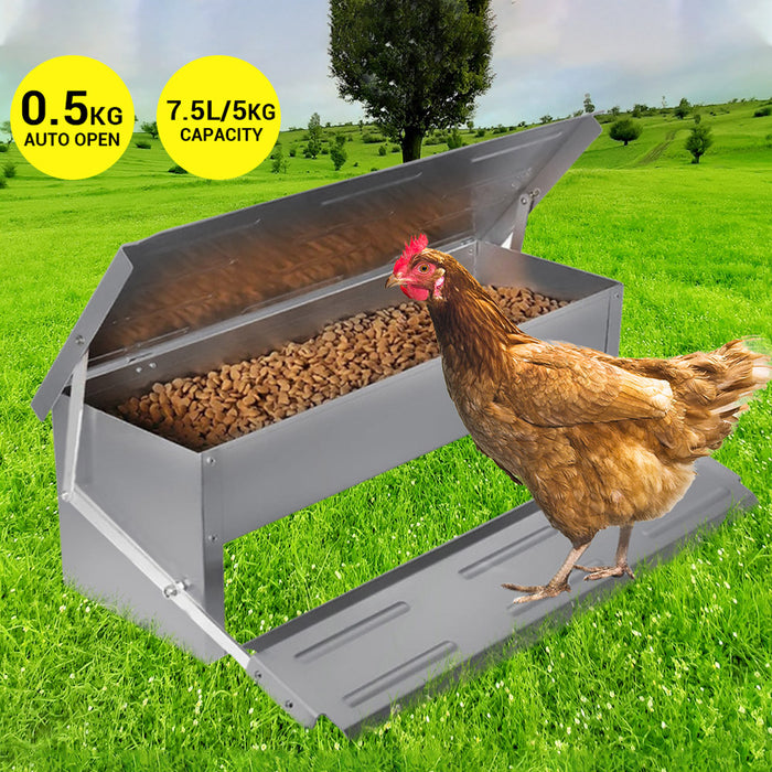 Automatic Chicken Feeder