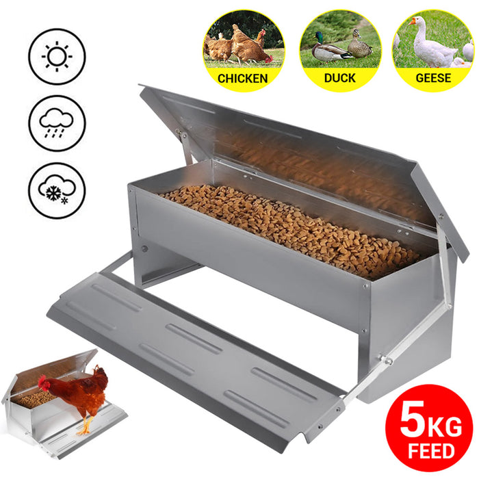 Automatic Chicken Feeder