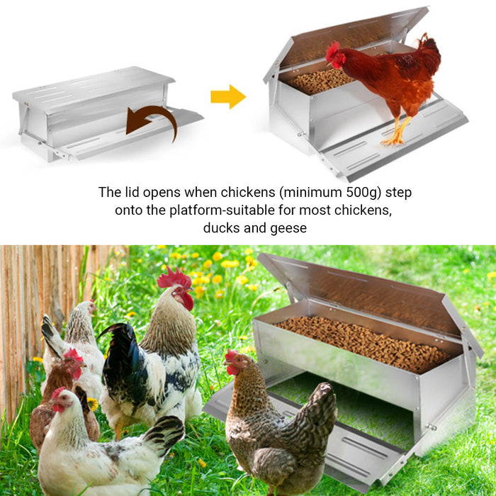 Automatic Chicken Feeder