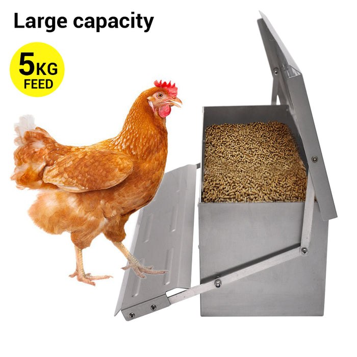 Automatic Chicken Feeder